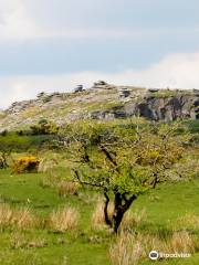 Hurlers Stone Circles