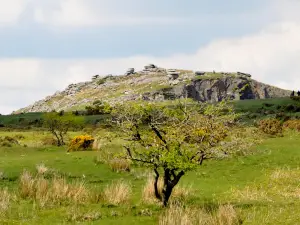 Hurlers Stone Circles