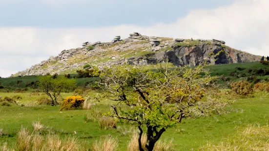 Hurlers Stone Circles