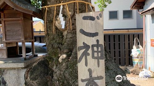 Ichiidani-Nanano-jinja Shrine