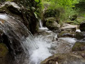 Waterfall Park of Molina