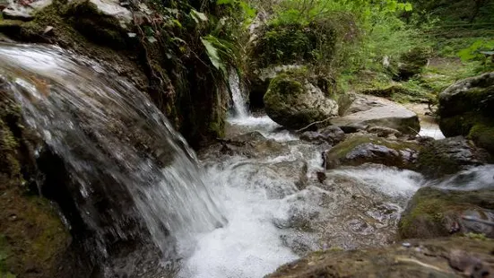 Parco delle Cascate