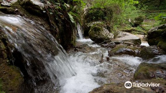 Waterfall Park of Molina