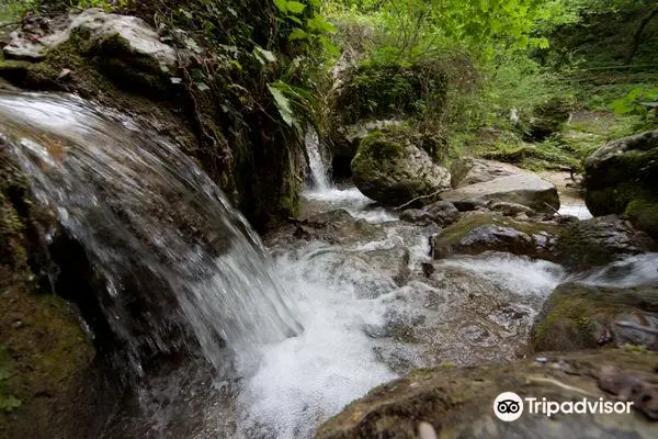 Parco delle Cascate