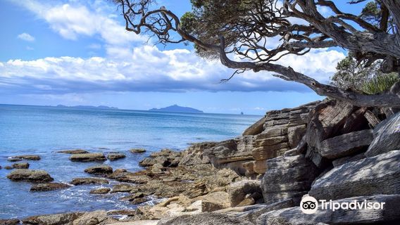 Waipu Coastal Trail
