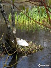 Marlfield Lake