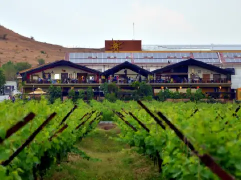 Sula Vineyards