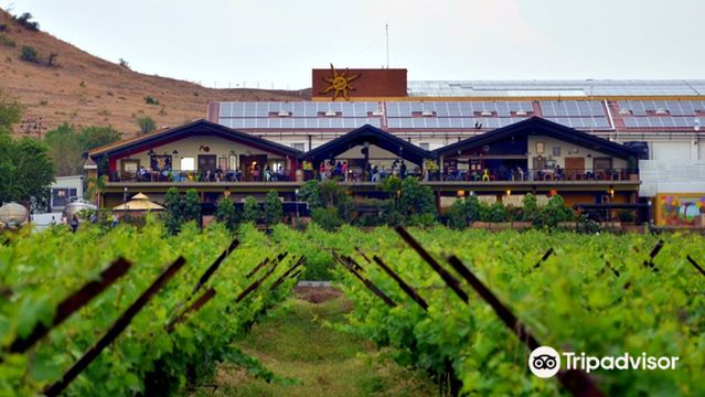 Sula Vineyards