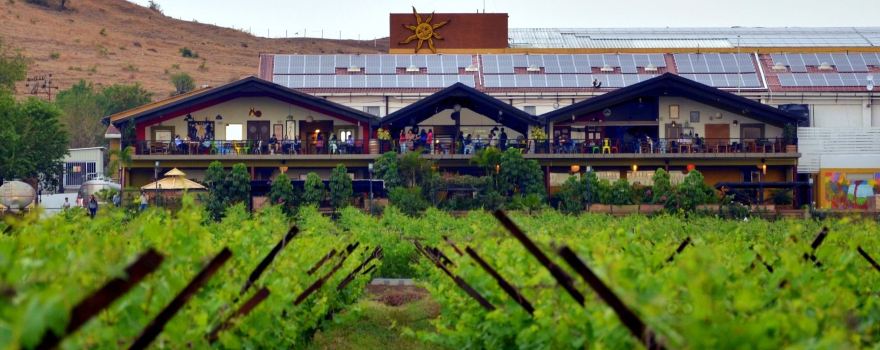 Sula Vineyards
