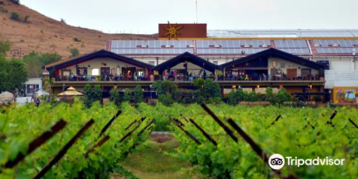 Sula Vineyards