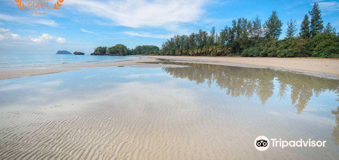 Things to Do in Pathio in 2024 - Top Attractions, Local Food, Hotels ...