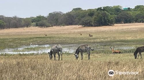 Chaminuka Game Reserve