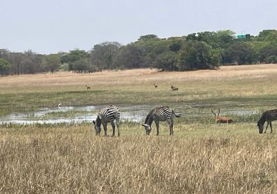 Chaminuka Game Reserve