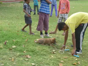 Gandhi Udyan, Raipur