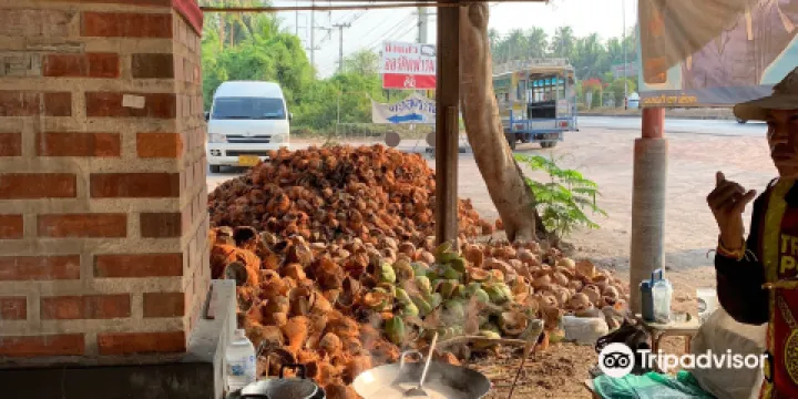 Coconut Sugar Farm