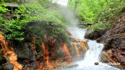 大湯沼川天然足湯