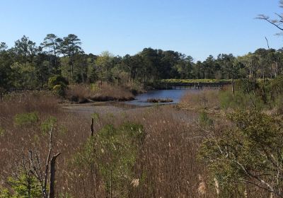 Kitty Hawk Woods Coastal Reserve