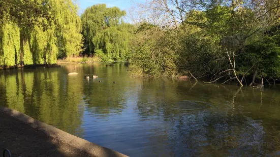 Peckham Rye Park & Common