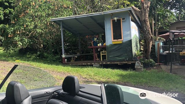 JoesNuts Macadamia Farm