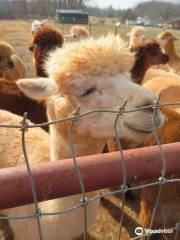 A Goode View Alpaca Farm