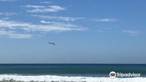 Santa Teresa Beach