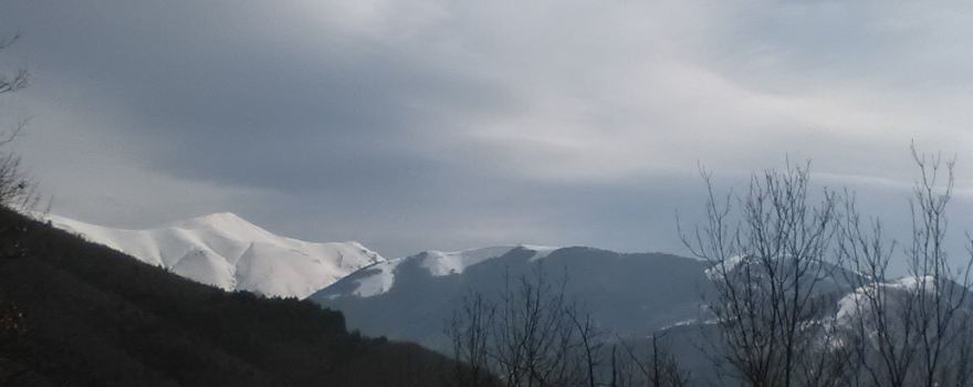 Pastorello di Cupi