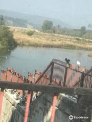 Ramganga Dam
