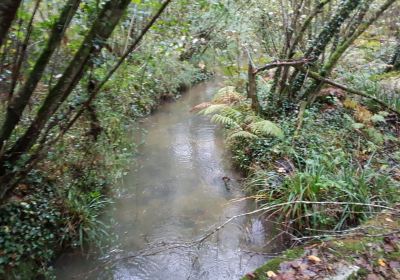 Forêt de Bastard