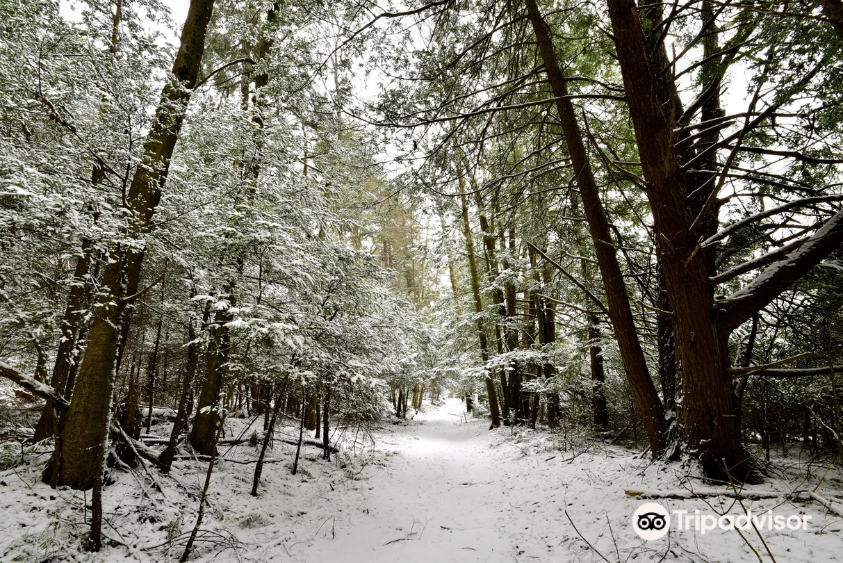 1_Cathedral State Park