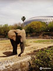 Parque Zoologico La Pastora