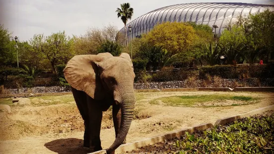 Parque Zoologico La Pastora