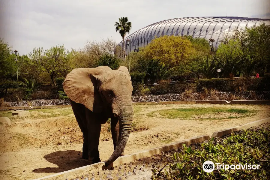 Parque Zoologico La Pastora