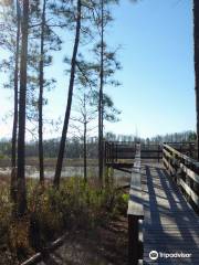 Withlacoochee State Forest - Johnson Pond Recreational Trailhead