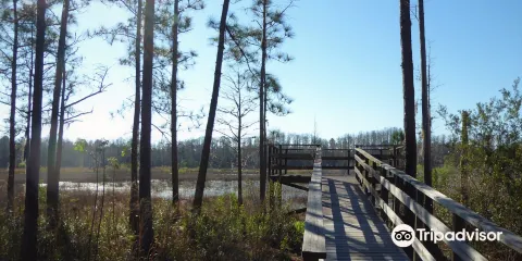 Johnson Pond Trailhead