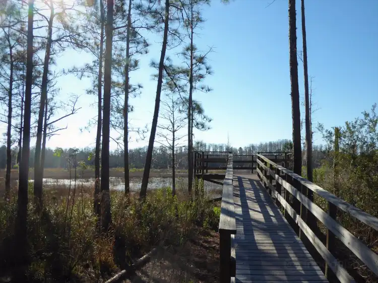 Hotels in Hernando