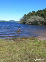 Playa Pita (Embalse de La Cuerda del Pozo)