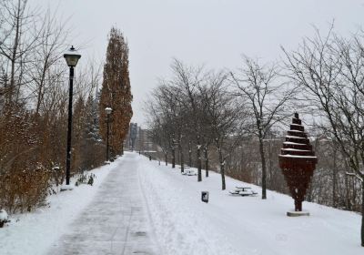 Cambridge Sculpture Garden