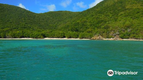 Beach at Genti Bay