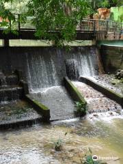 Bioparque Los Ocarros