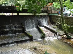 Bioparque Los Ocarros