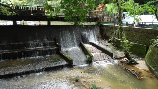 Bioparque Los Ocarros