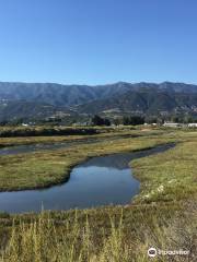 Carpinteria Salt Marsh Nature Park