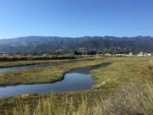 Carpinteria Salt Marsh Nature Park