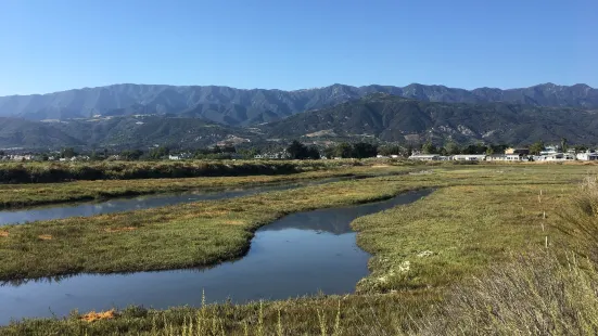 Carpinteria Salt Marsh Nature Park