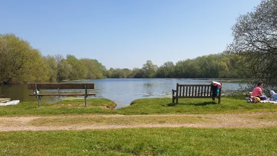 Emberton Country Park