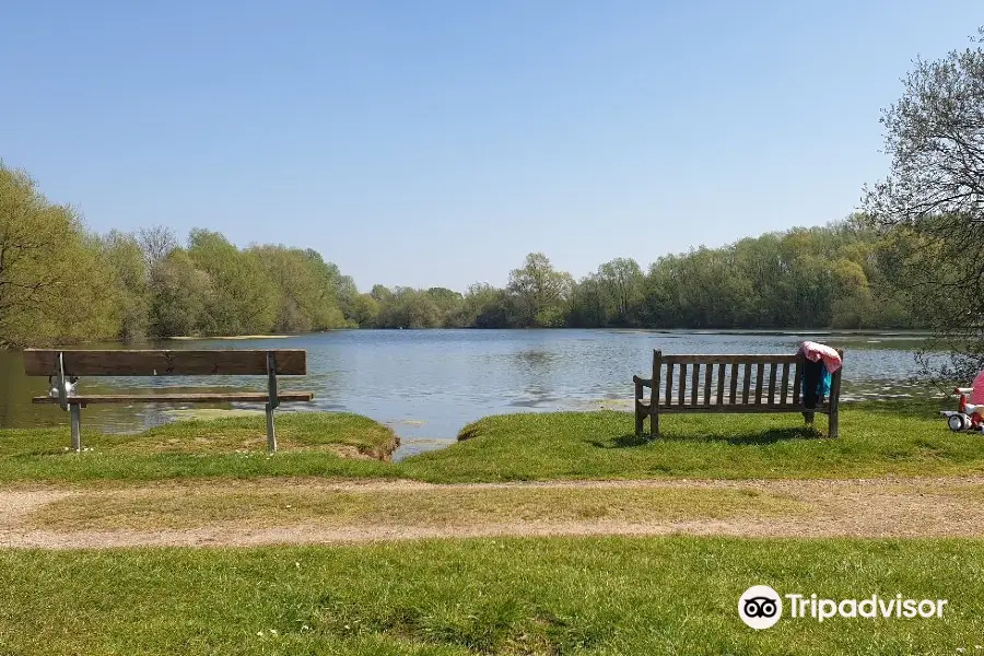 Emberton Country Park