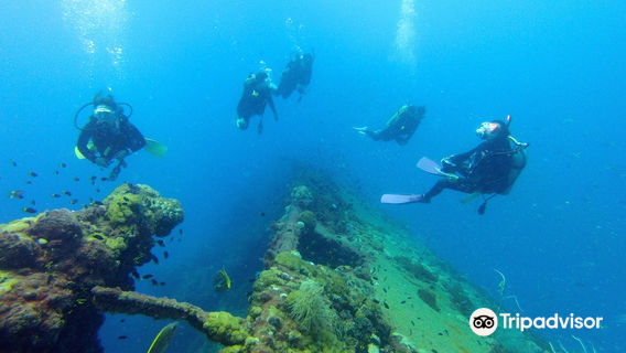 Scuba Diving in Cairns