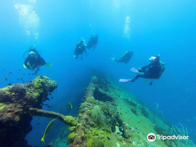 Scuba Diving in Cairns