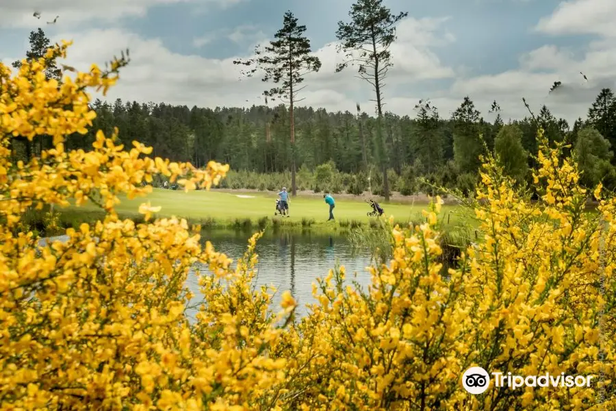 Silkeborg Ry Golf Club