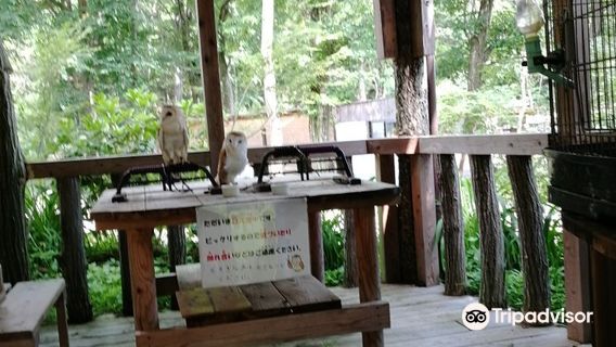 VERY BERRY FARM NISHIWAKI